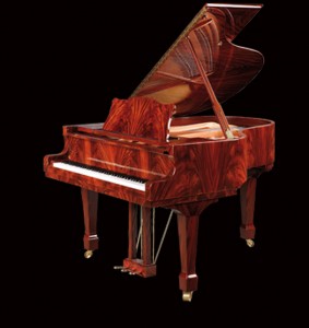 Schulze Pollmann 160 GK